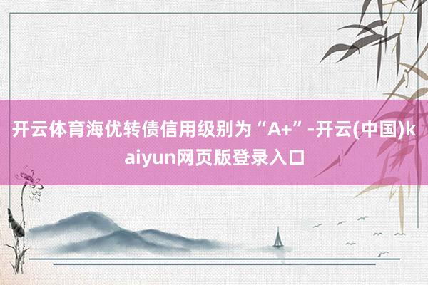 开云体育海优转债信用级别为“A+”-开云(中国)kaiyun网页版登录入口
