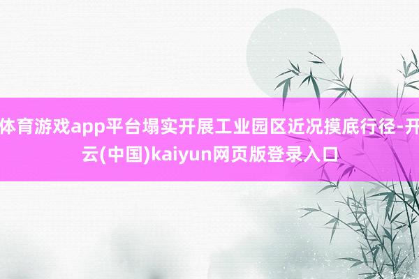 体育游戏app平台塌实开展工业园区近况摸底行径-开云(中国)kaiyun网页版登录入口
