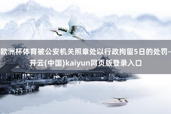 欧洲杯体育被公安机关照章处以行政拘留5日的处罚-开云(中国)kaiyun网页版登录入口