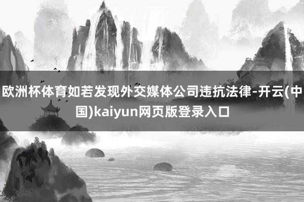 欧洲杯体育如若发现外交媒体公司违抗法律-开云(中国)kaiyun网页版登录入口
