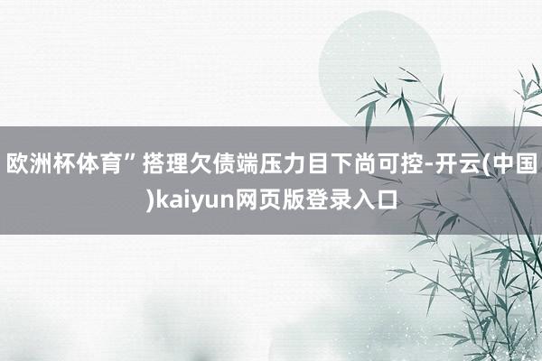 欧洲杯体育”　　搭理欠债端压力目下尚可控-开云(中国)kaiyun网页版登录入口