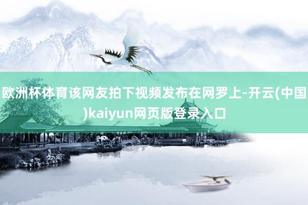 欧洲杯体育该网友拍下视频发布在网罗上-开云(中国)kaiyun网页版登录入口