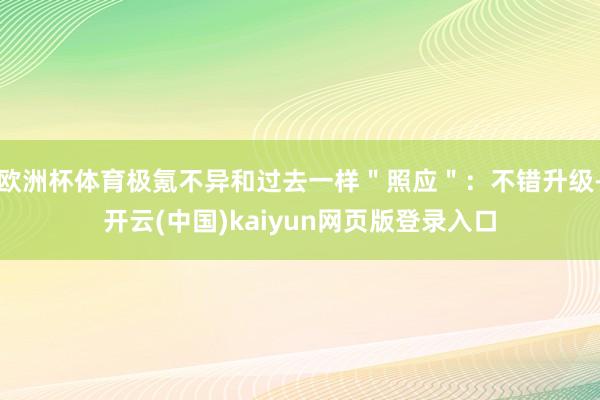 欧洲杯体育极氪不异和过去一样＂照应＂：不错升级-开云(中国)kaiyun网页版登录入口